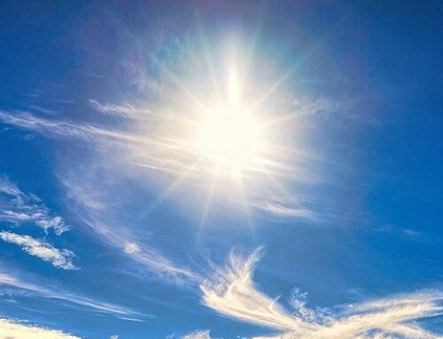 Why Thefts Increase During the Summer