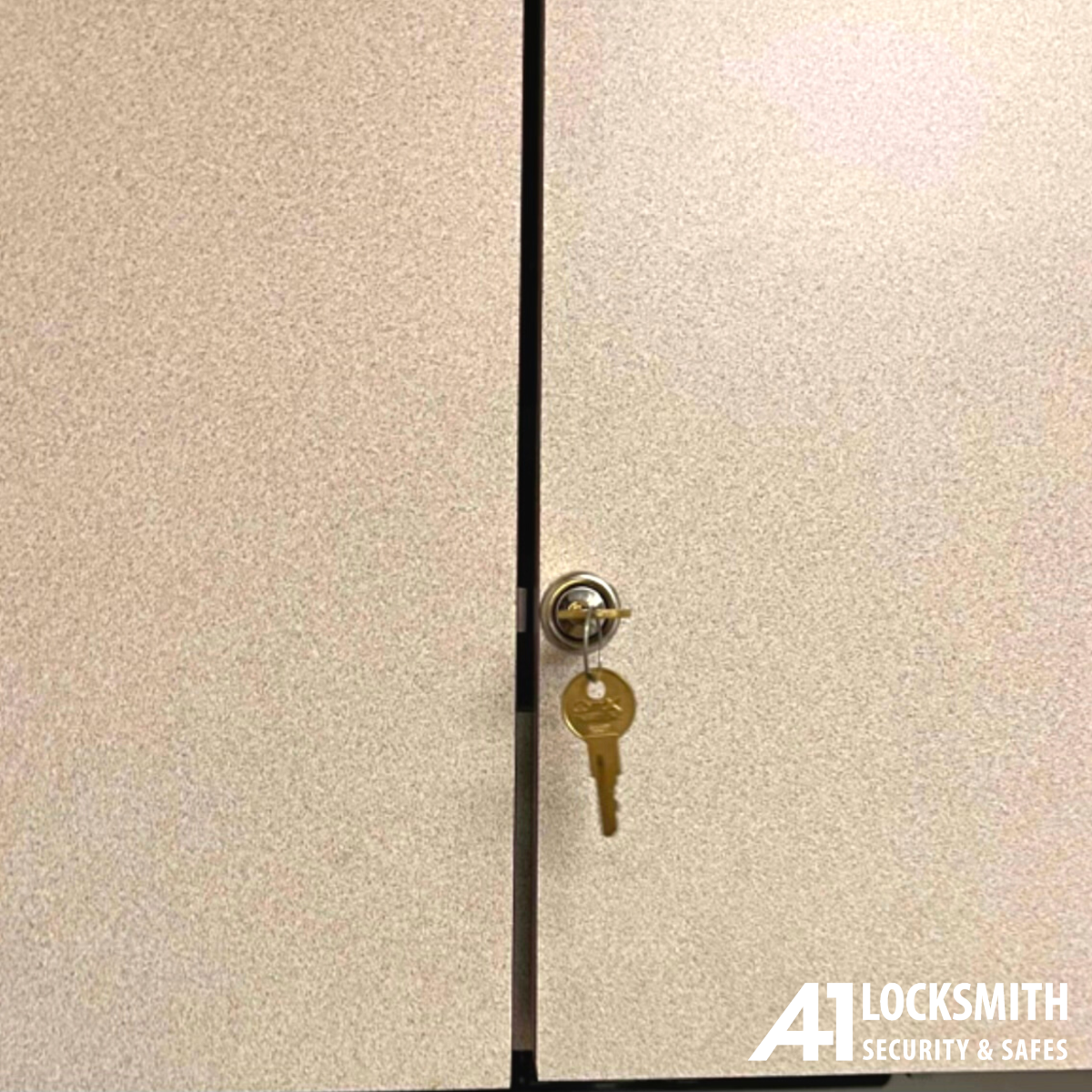 Additional HIPAA Compliant Cabinet Lock